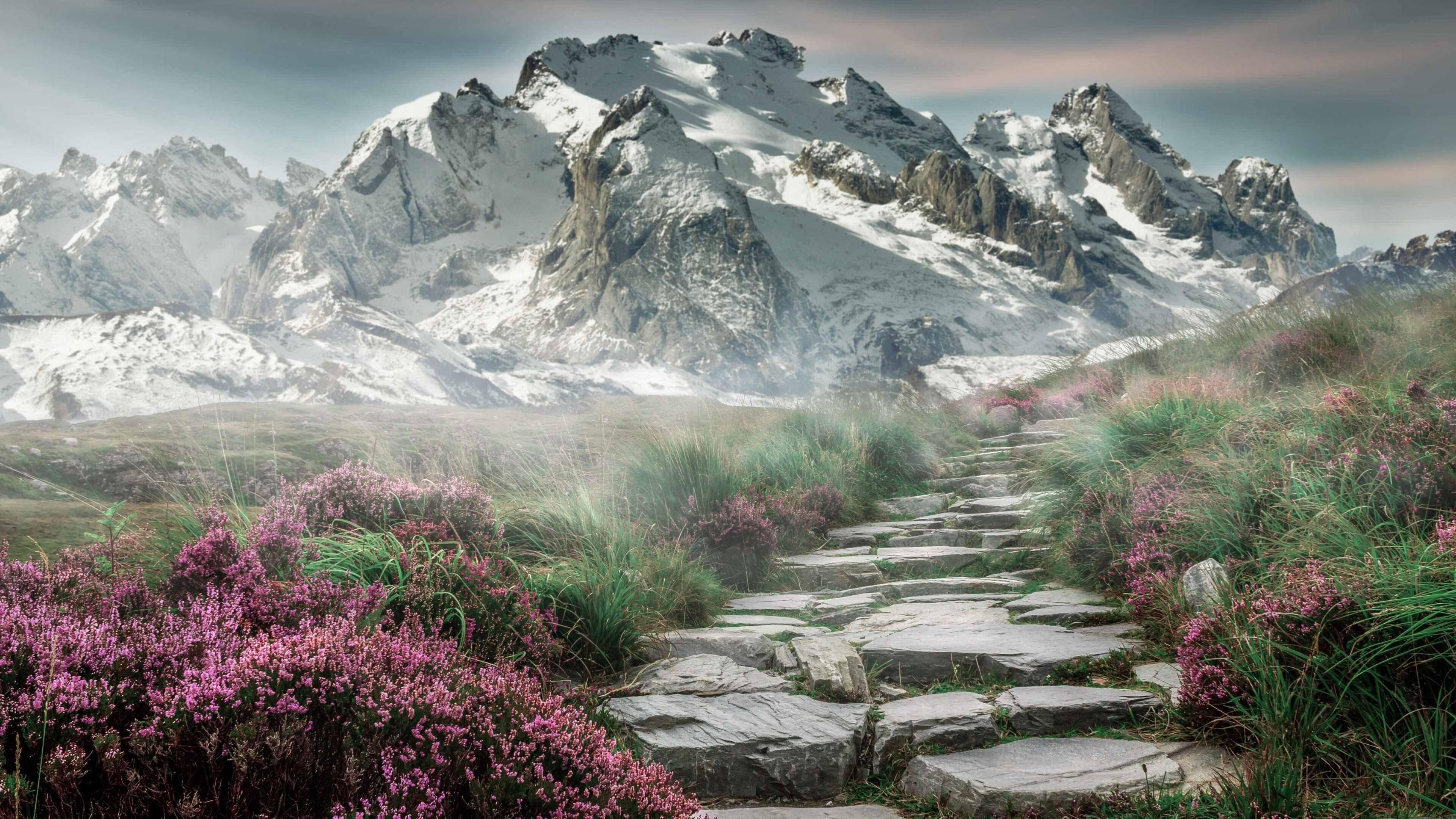 Kaiyun官方网站-v7.2.5 稳定更新，2026年6月17日，一个值得铭记的版本节点